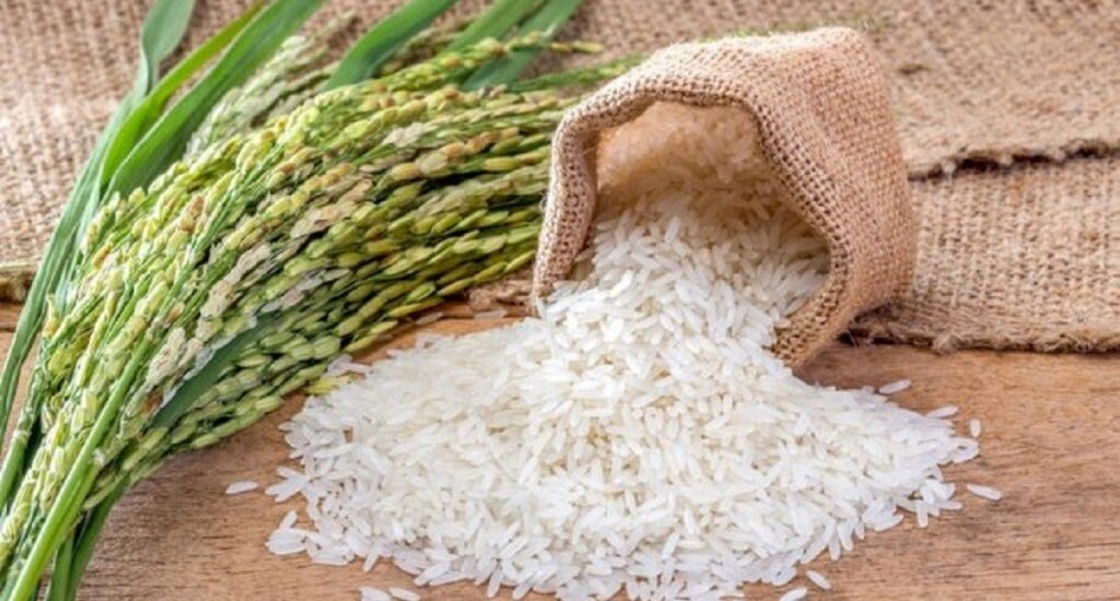 Is Rice Low in Calories? Exploring the Nutritional Aspects of a Staple Food