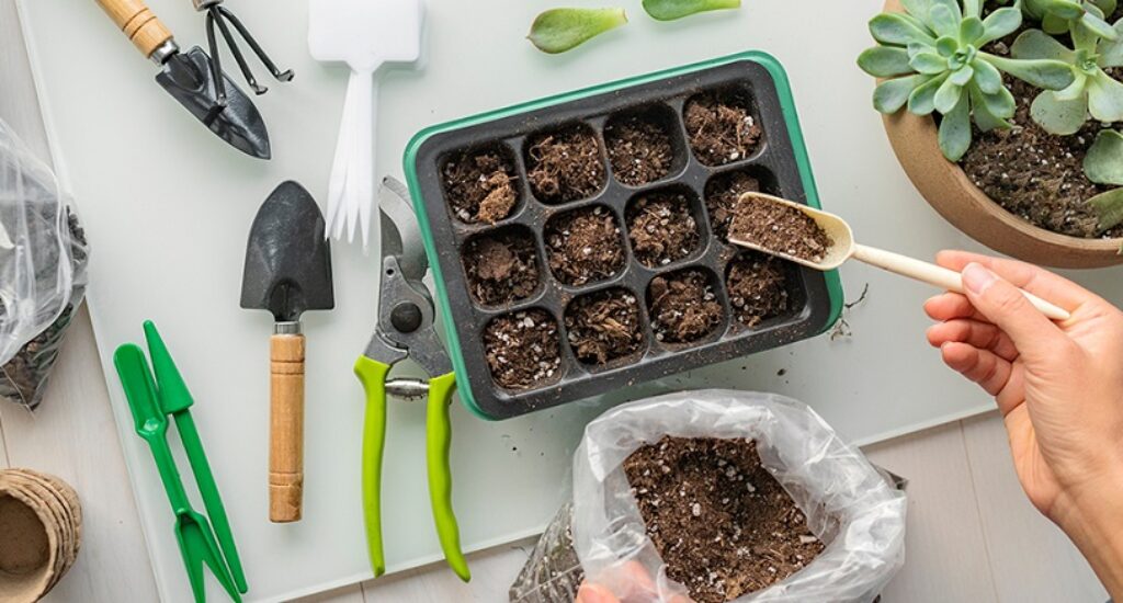What Do You Put in a Garden Kit? A Guide to Essential Supplies