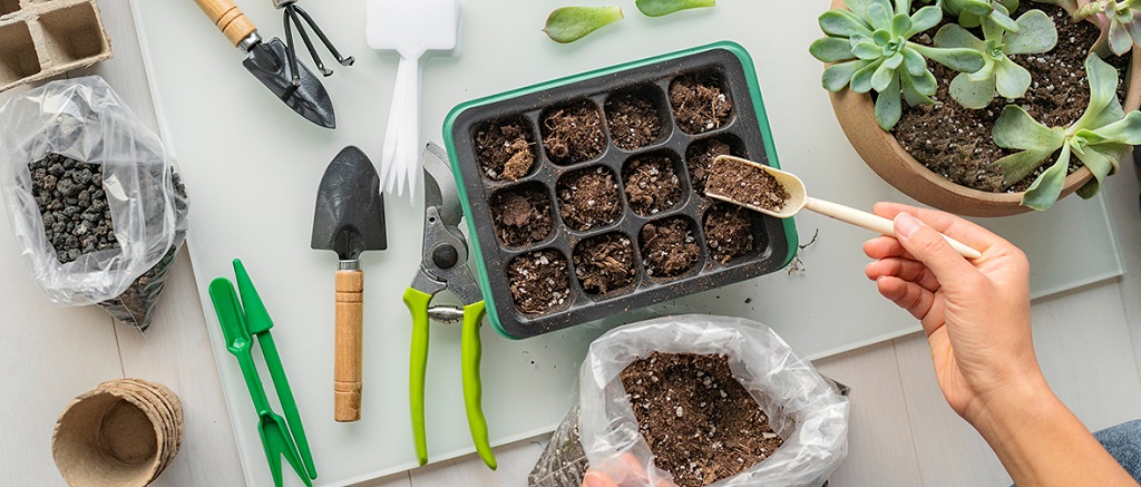 What Do You Put in a Garden Kit? A Guide to Essential Supplies