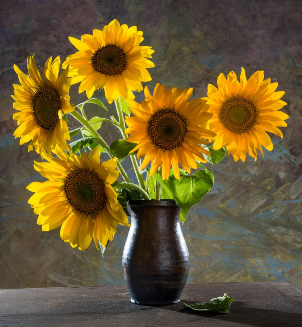 Beauty of Sunflowers