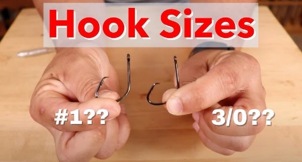 3/0 vs 4/0 Hooks: Key Differences Every Angler Should Know